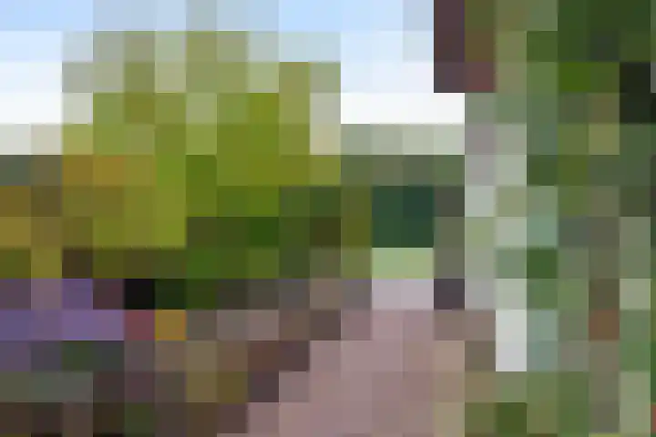 Dreef 19 Est thumbnail 31