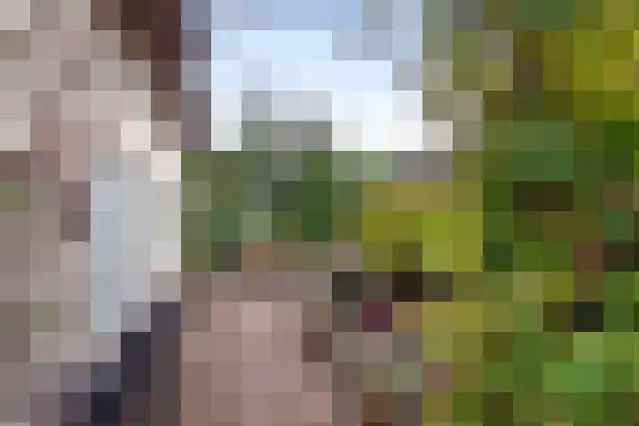 Dreef 19 Est thumbnail 32