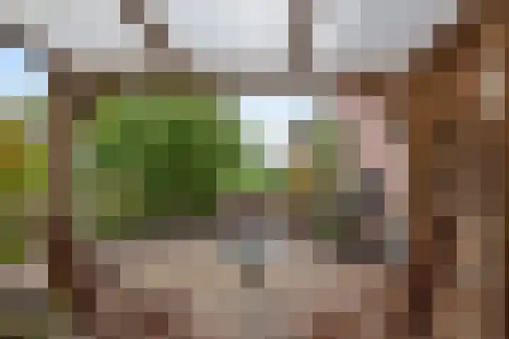 Dreef 19 Est thumbnail 33