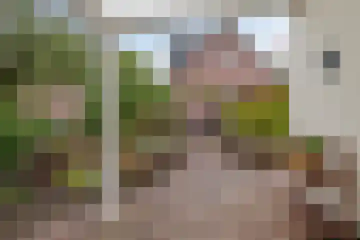 Dreef 19 Est thumbnail 34