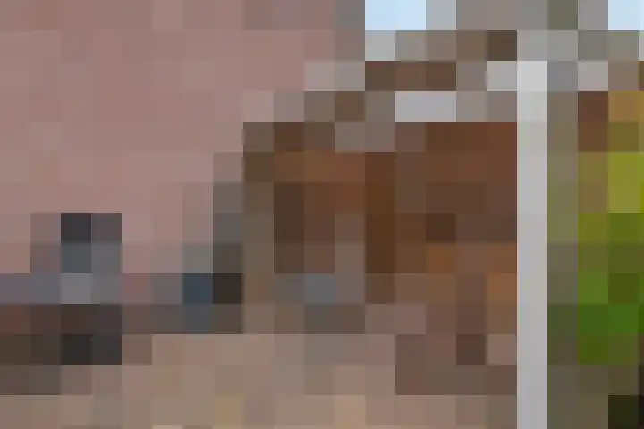 Dreef 19 Est thumbnail 35