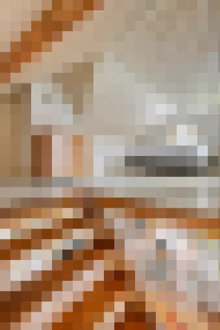 Dreef 19 Est thumbnail 36