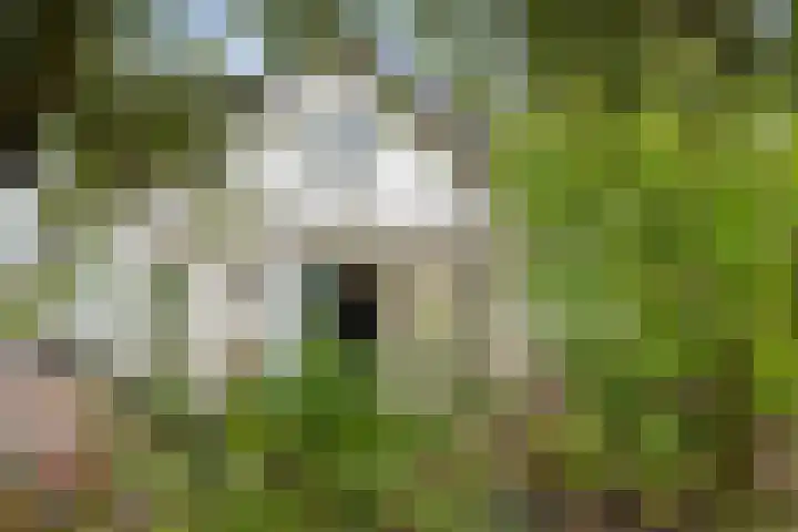 Dreef 19 Est thumbnail 4