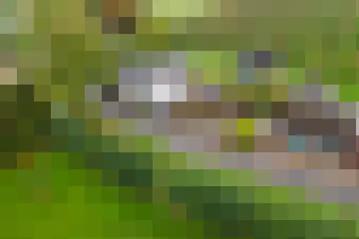Dreef 19 Est thumbnail 40