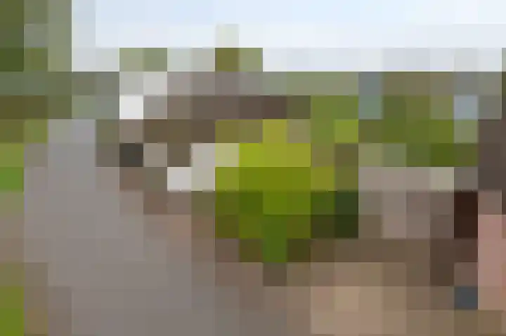 Dreef 19 Est thumbnail 6