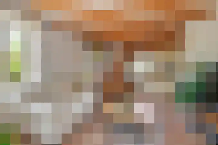 Dreef 19 Est thumbnail 9