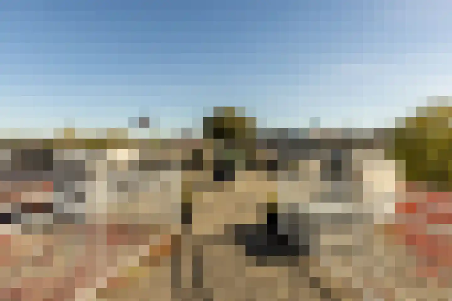 Dreef 2 0015 Haarlem thumbnail 22