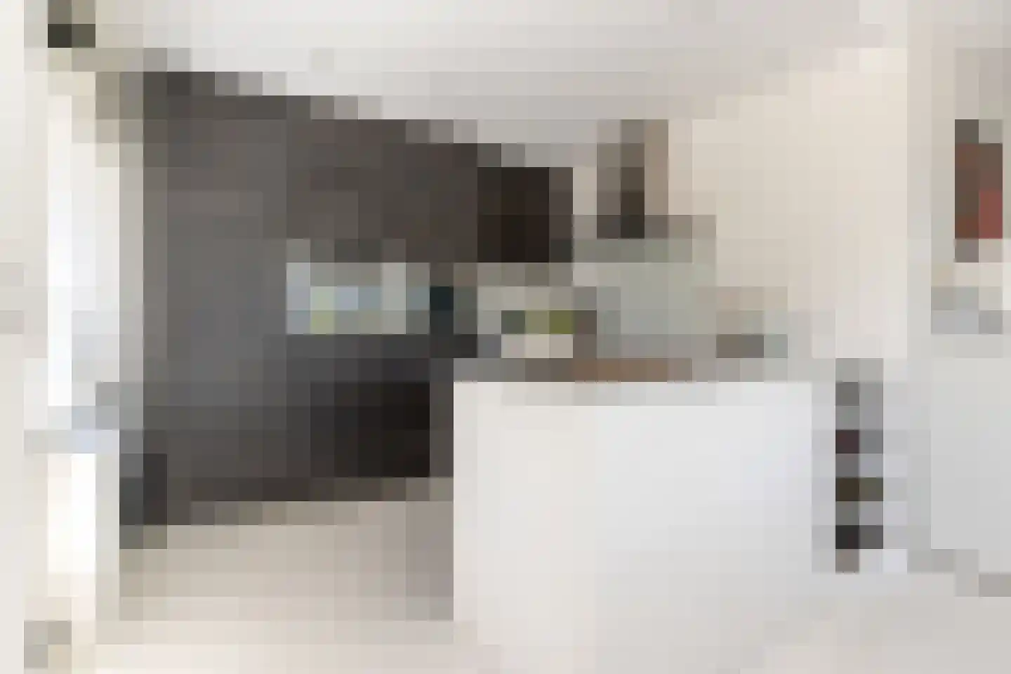 Dreef 2 0015 Haarlem thumbnail 8