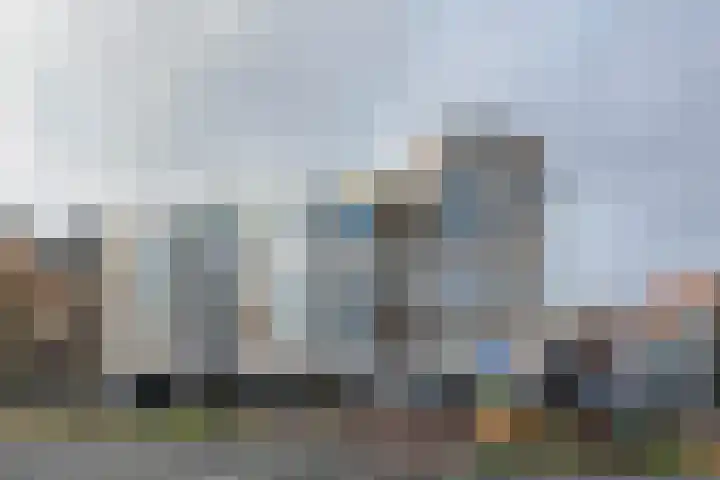 Dreef 2 0024 in Haarlem