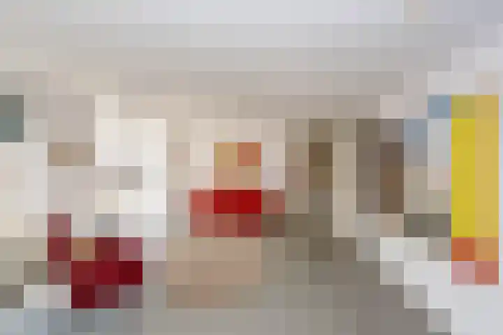 Dreef 2 0024 Haarlem thumbnail 11