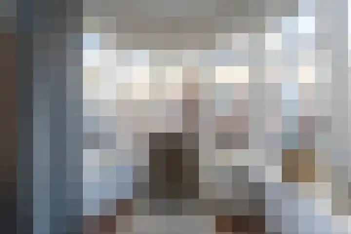 Dreef 2 0024 Haarlem thumbnail 12