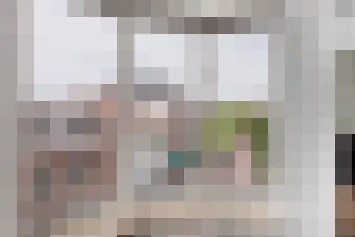 Dreef 2 0024 Haarlem thumbnail 12