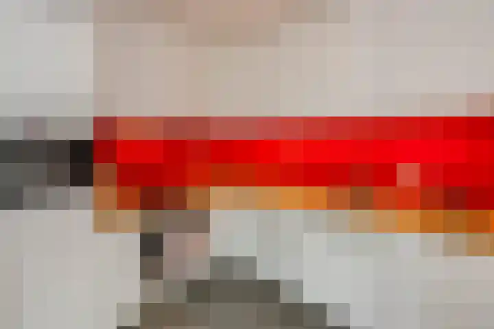 Dreef 2 0024 Haarlem thumbnail 18