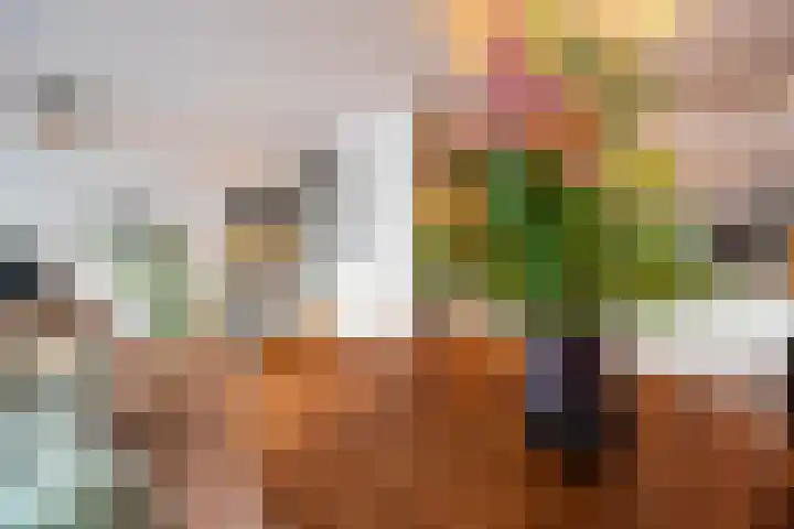 Dreef 2 0024 Haarlem thumbnail 19