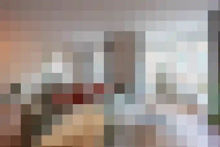 Dreef 2 0024 Haarlem foto 2