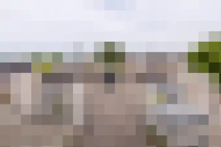 Dreef 2 0024 Haarlem thumbnail 21