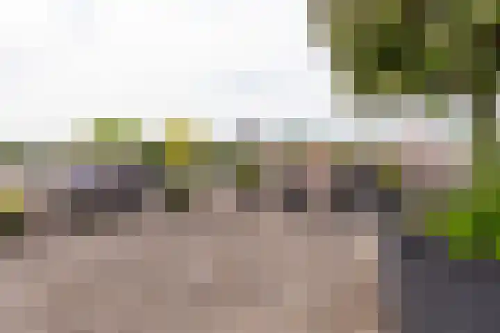 Dreef 2 0024 Haarlem thumbnail 22