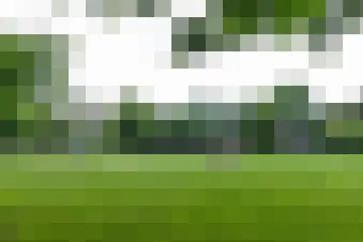 Dreef 2 0024 Haarlem thumbnail 27