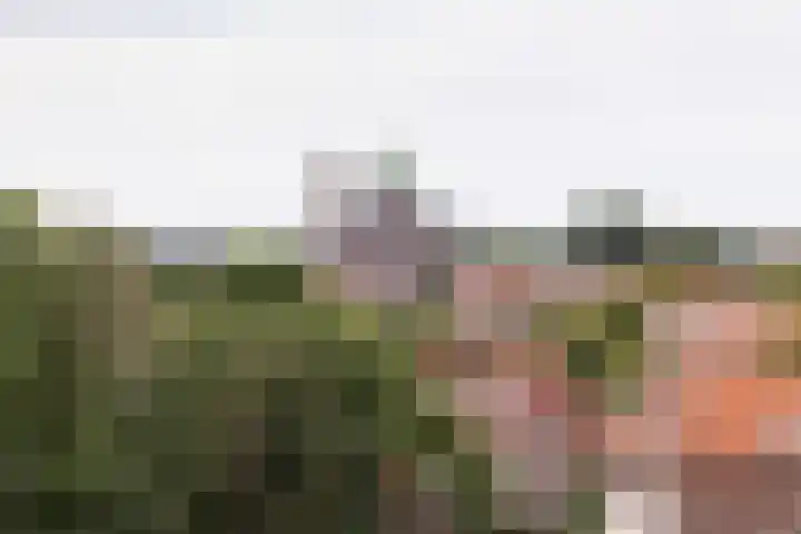 Dreef 2 0024 Haarlem thumbnail 28