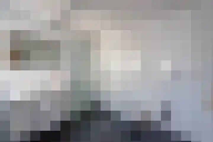 Dreef 2 0024 Haarlem thumbnail 30