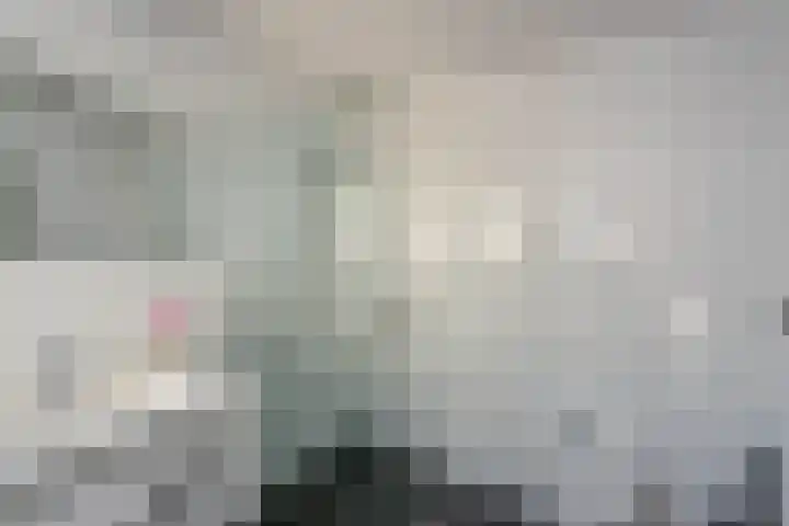 Dreef 2 0024 Haarlem thumbnail 31
