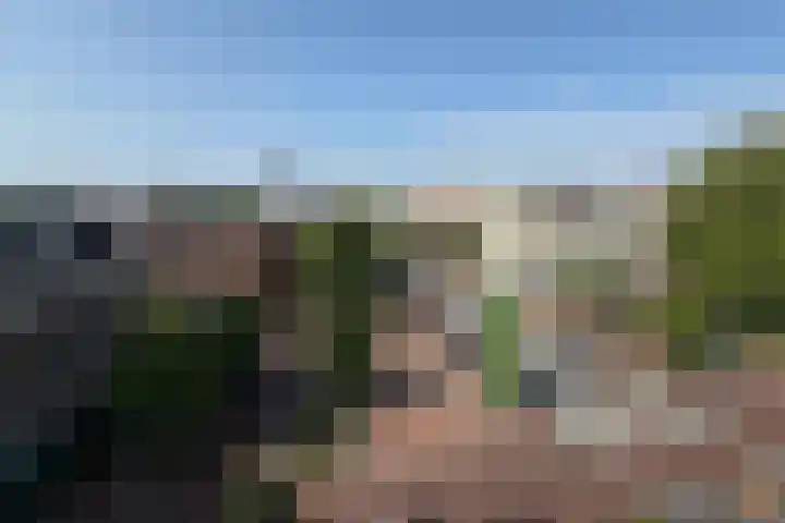 Dreef 2 0024 Haarlem thumbnail 33