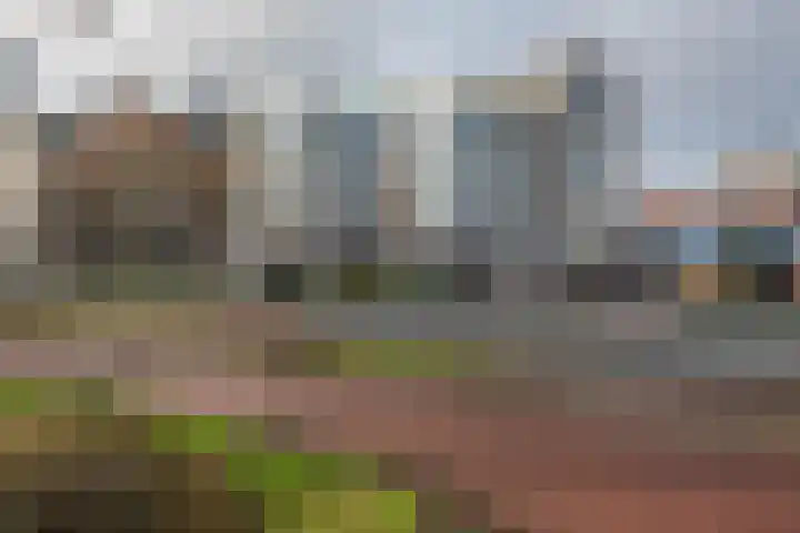 Dreef 2 0024 Haarlem thumbnail 34
