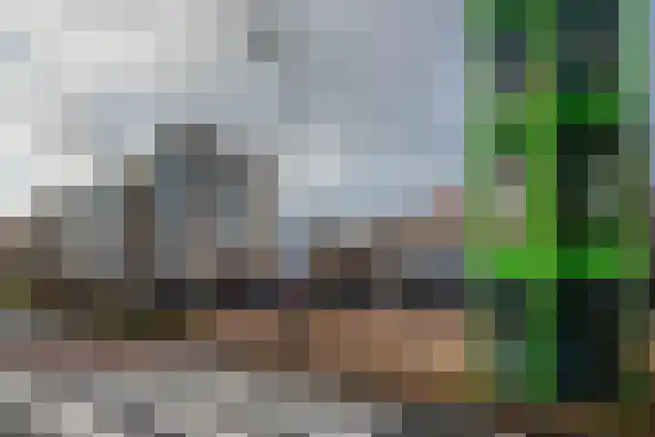 Dreef 2 0024 Haarlem thumbnail 35