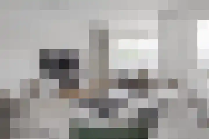 Dreef 2 0024 Haarlem thumbnail 6
