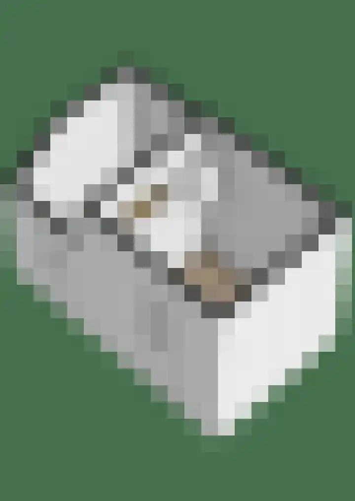Dreef 2 0024 Haarlem thumbnail 7