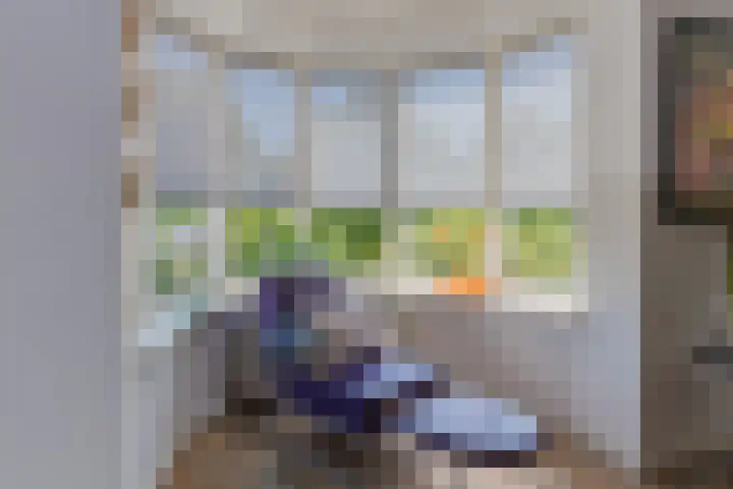 Dreef 2 0035 Haarlem thumbnail 17
