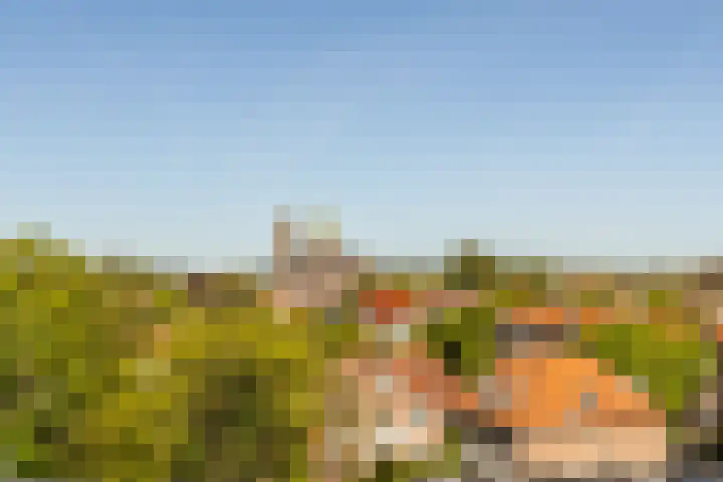 Dreef 2 0035 Haarlem thumbnail 24
