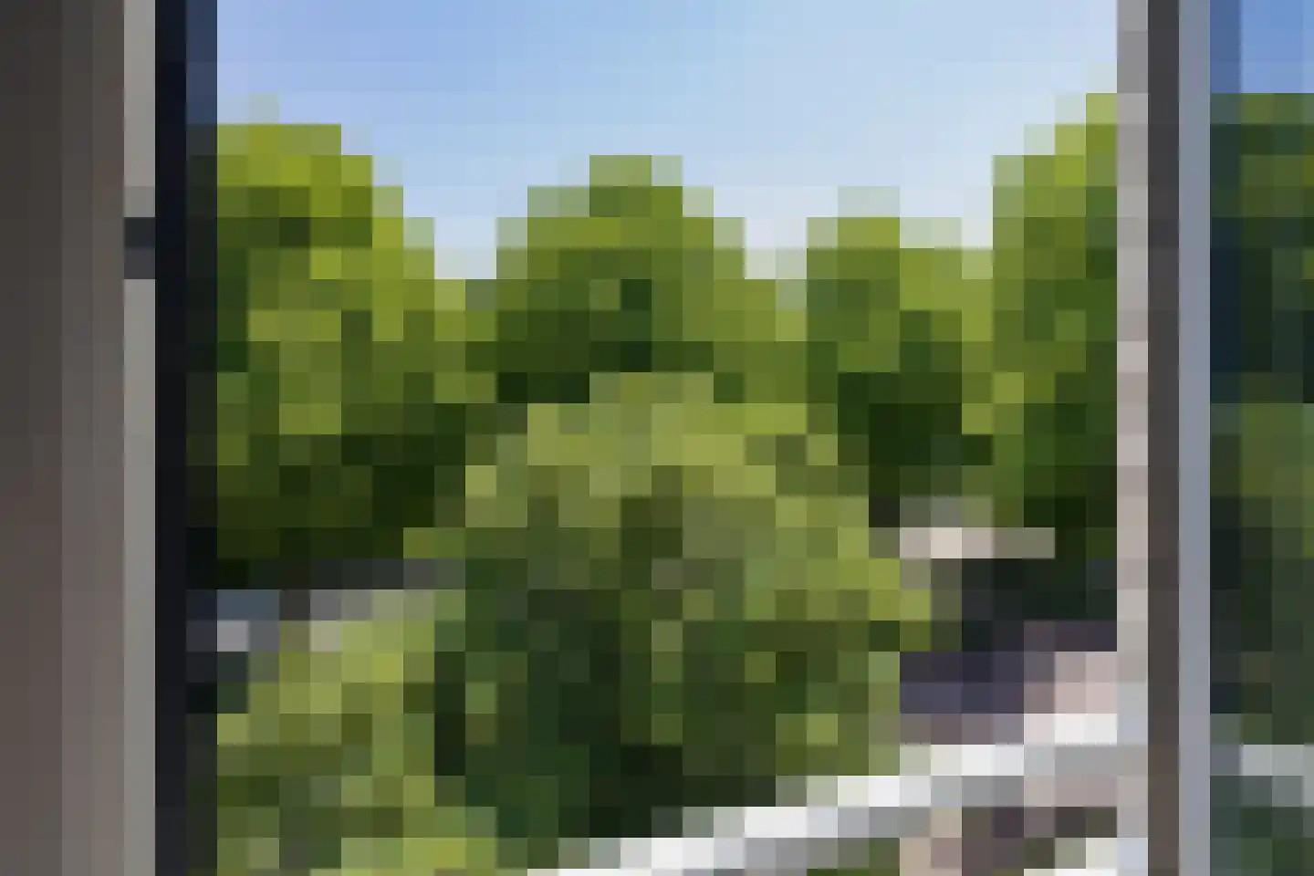Dreef 2 0035 Haarlem thumbnail 27