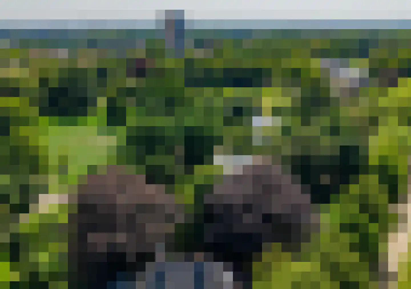 Dreef 2 0035 Haarlem thumbnail 7