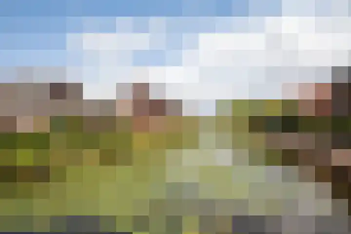 Dreef 2 b Kockengen thumbnail 31