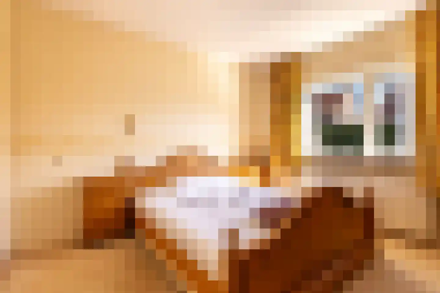 Dreef 2 Vlist thumbnail 22