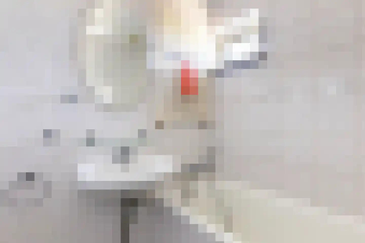 Dreef 2 Vlist thumbnail 26