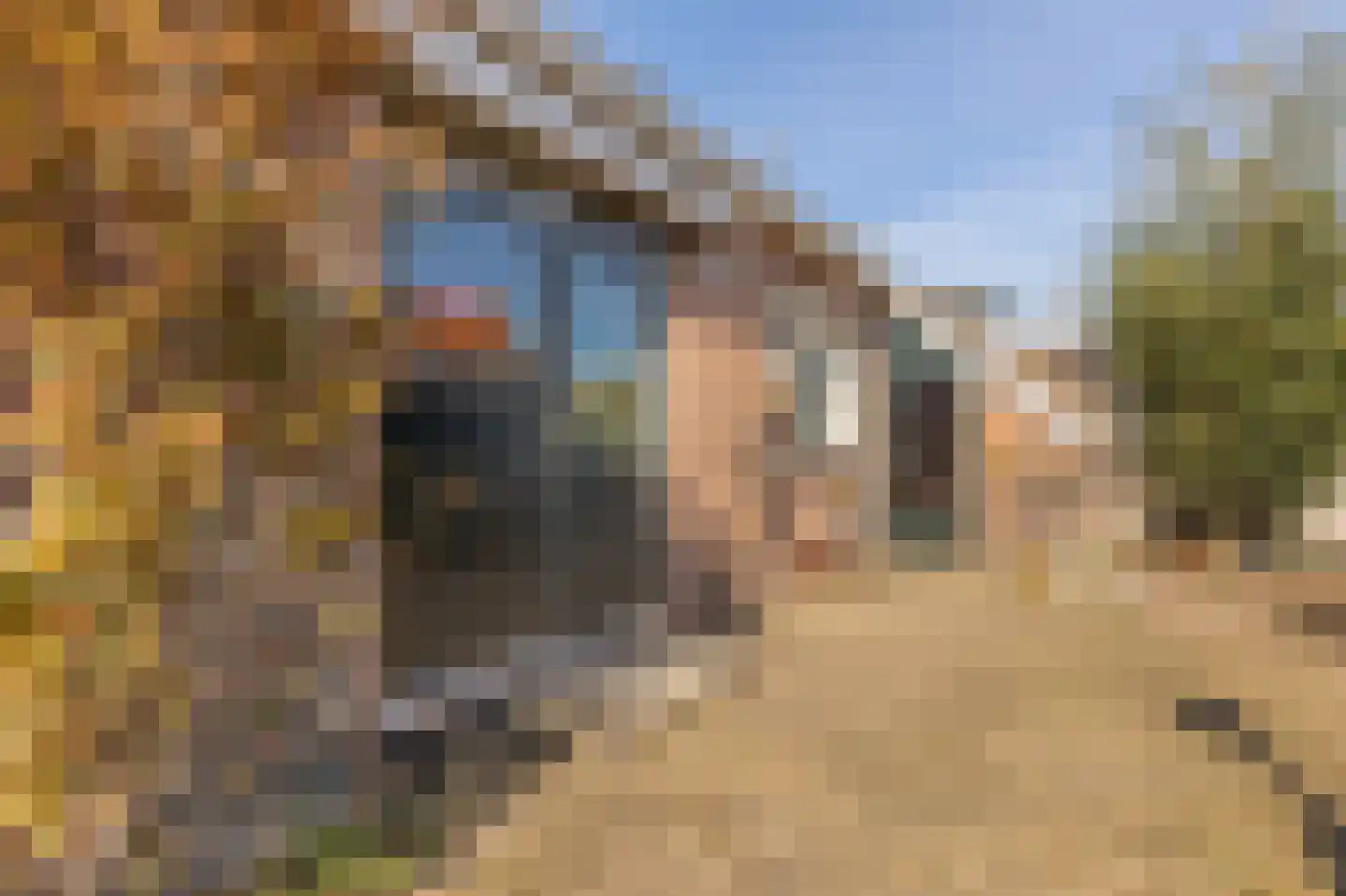 Dreef 2 Vlist thumbnail 44