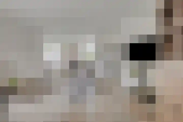 Dreef 200 Leersum thumbnail 12