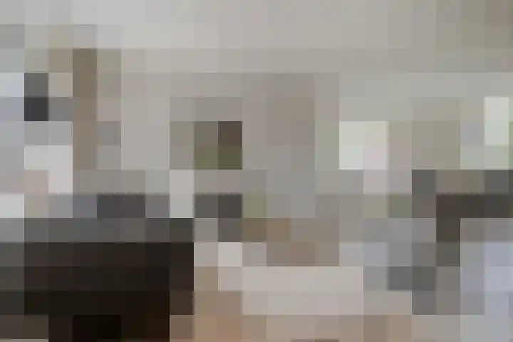 Dreef 200 Leersum thumbnail 13