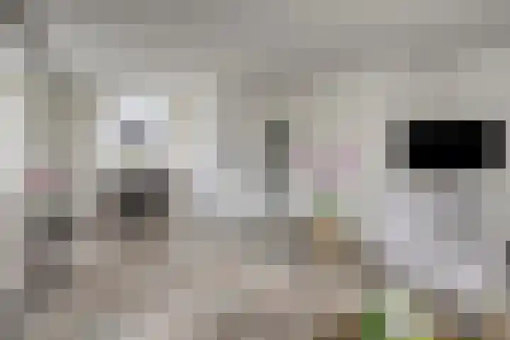 Dreef 200 Leersum thumbnail 14