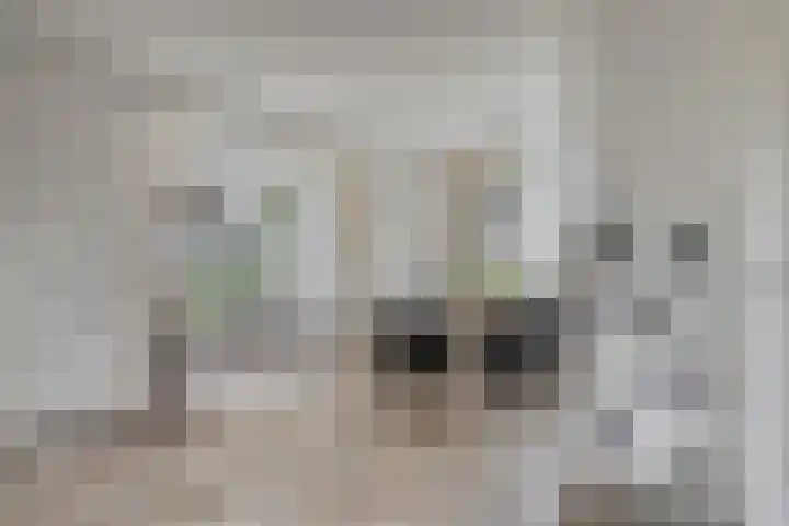 Dreef 200 Leersum thumbnail 16