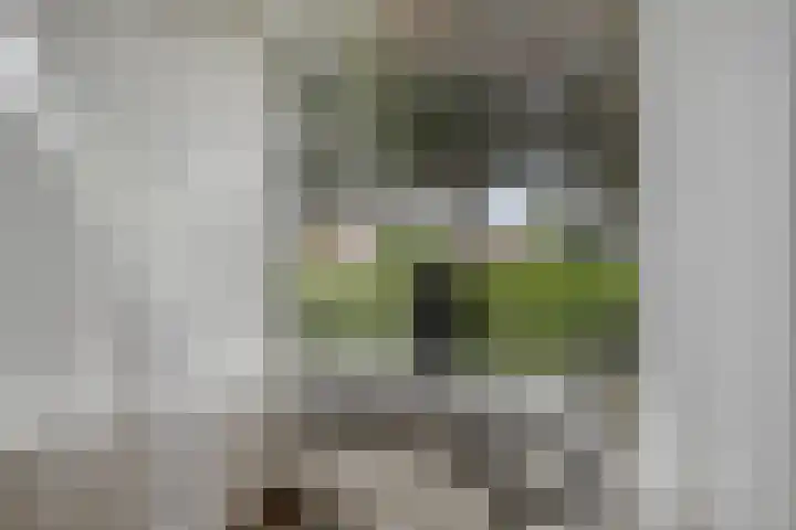 Dreef 200 Leersum thumbnail 17
