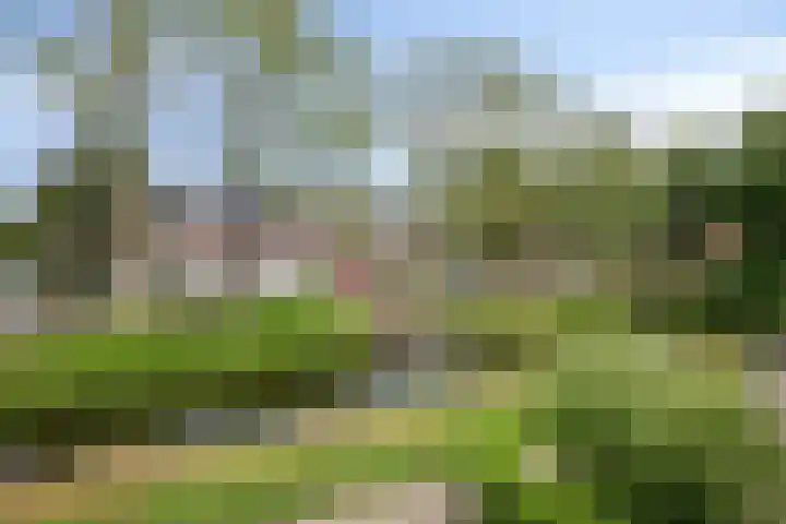 Dreef 200 Leersum thumbnail 25