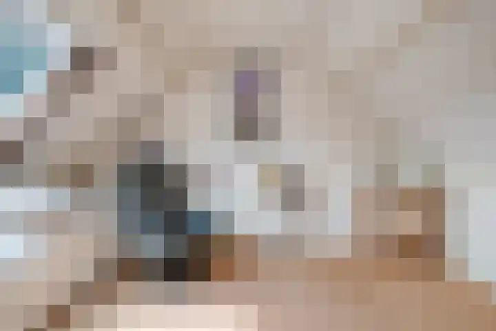 Dreef 200 Leersum thumbnail 34