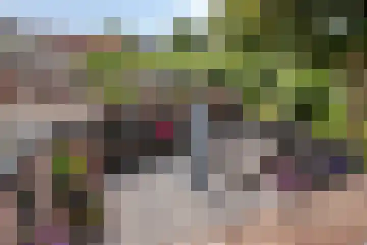 Dreef 200 Leersum thumbnail 37