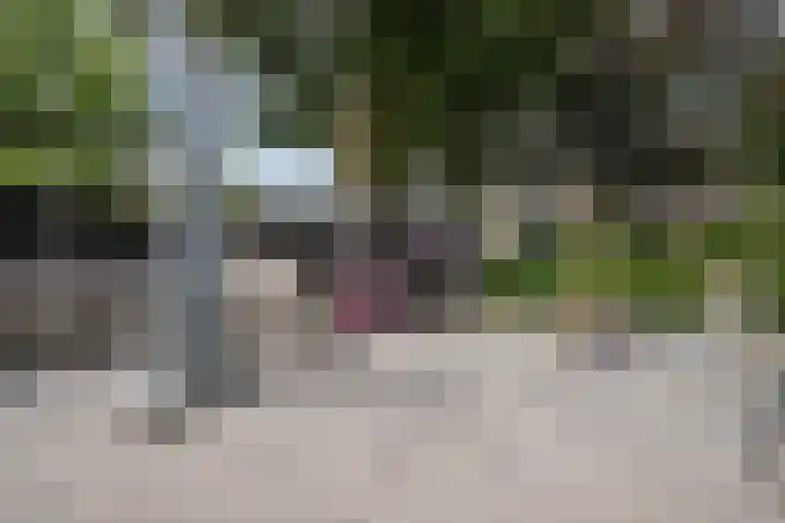 Dreef 200 Leersum thumbnail 40