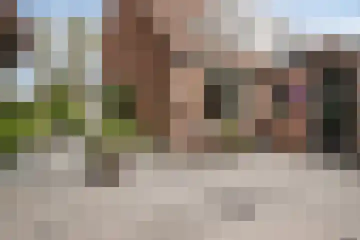Dreef 200 Leersum thumbnail 41