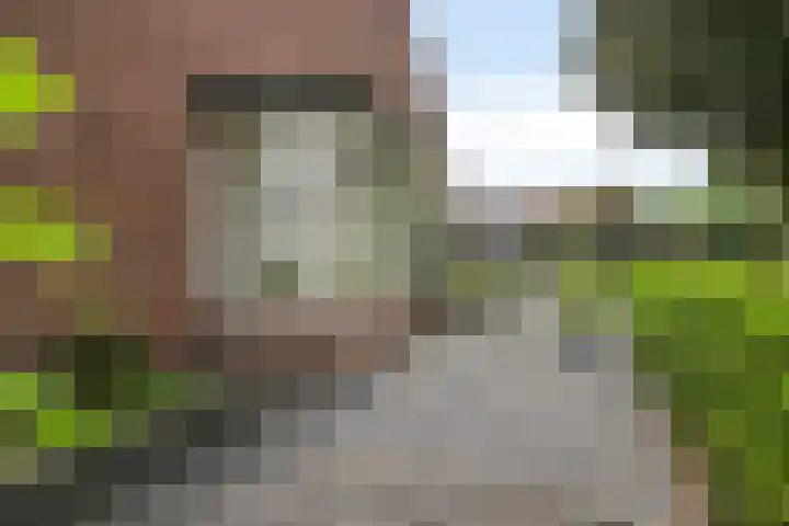 Dreef 200 Leersum thumbnail 43