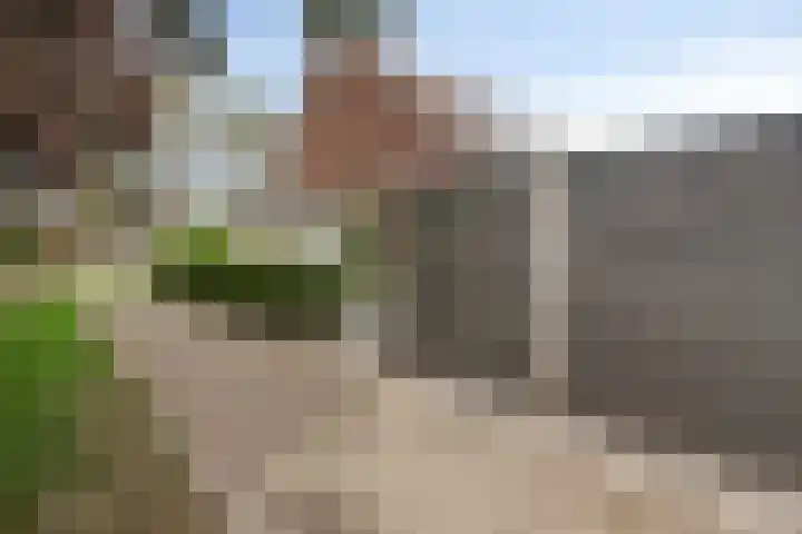 Dreef 200 Leersum thumbnail 44